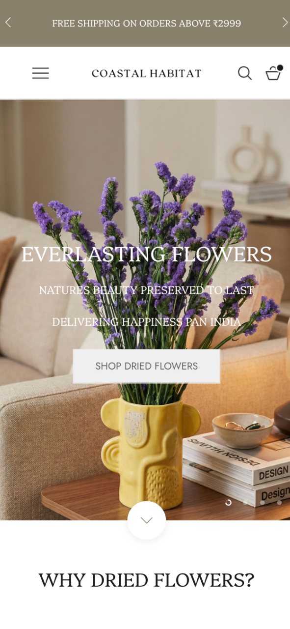 Furniture Website Development Company in Jaipur portfolio image 1