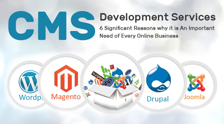 CMS Development Services