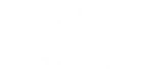 Peepal Tales - D3Logics client